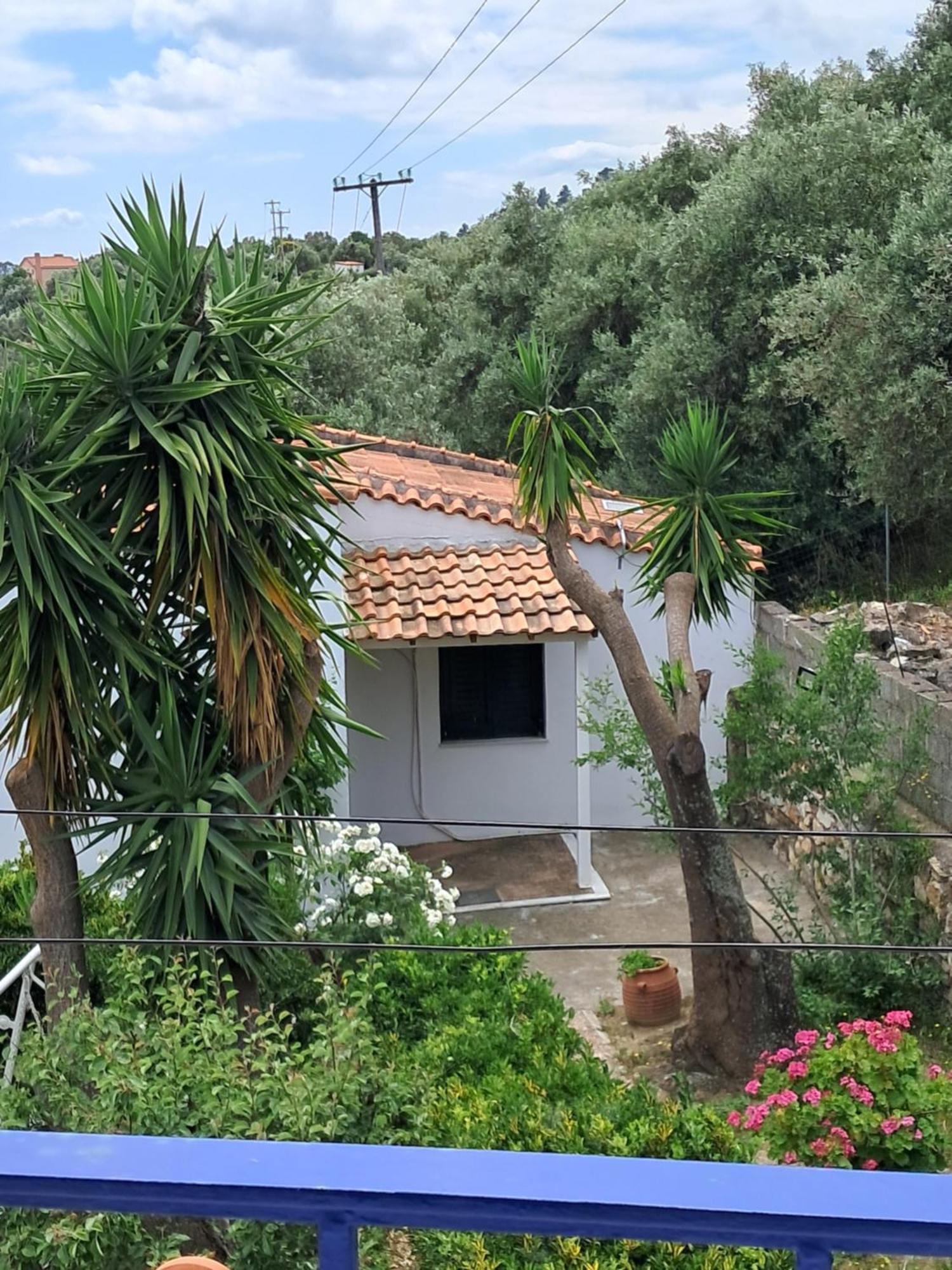 Camelia Studios Skiathos Town Exterior photo